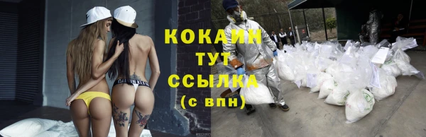 хмурый Абаза