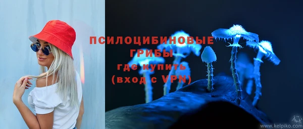 хмурый Абаза