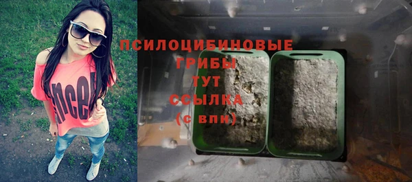 прущие крисы Абинск
