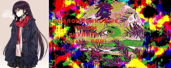 прущие крисы Абинск