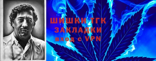хмурый Абаза